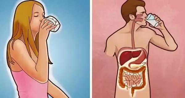 Why You Should Drink Warm Water Every Morning On An Empty Stomach.